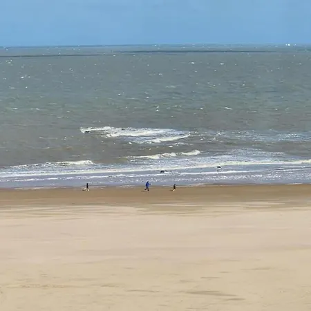 In Near Casino And *