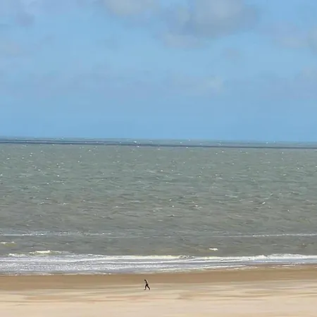 Apartment In Near Casino And *