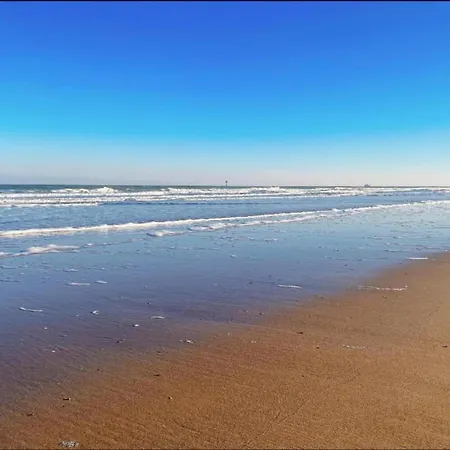 Apartment In Near Casino And *