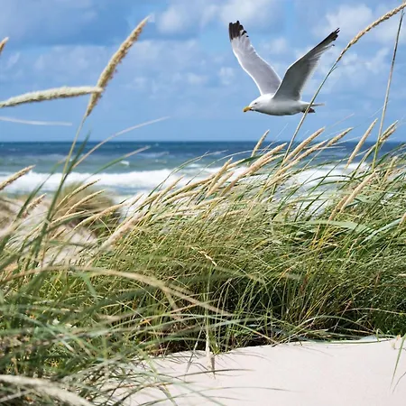 شقة In Near Casino And